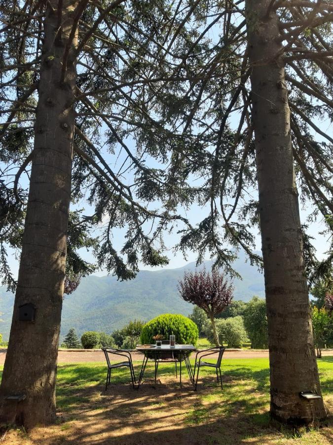 Casa Les Espelmes Villa Arbucies Bagian luar foto